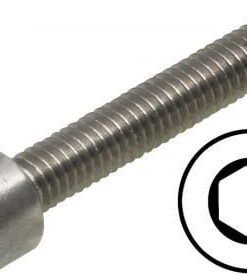 Unbrako bolte M2x20 stål rustfri 10 stk.