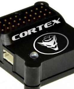 Bavarian DEMON CORTEX